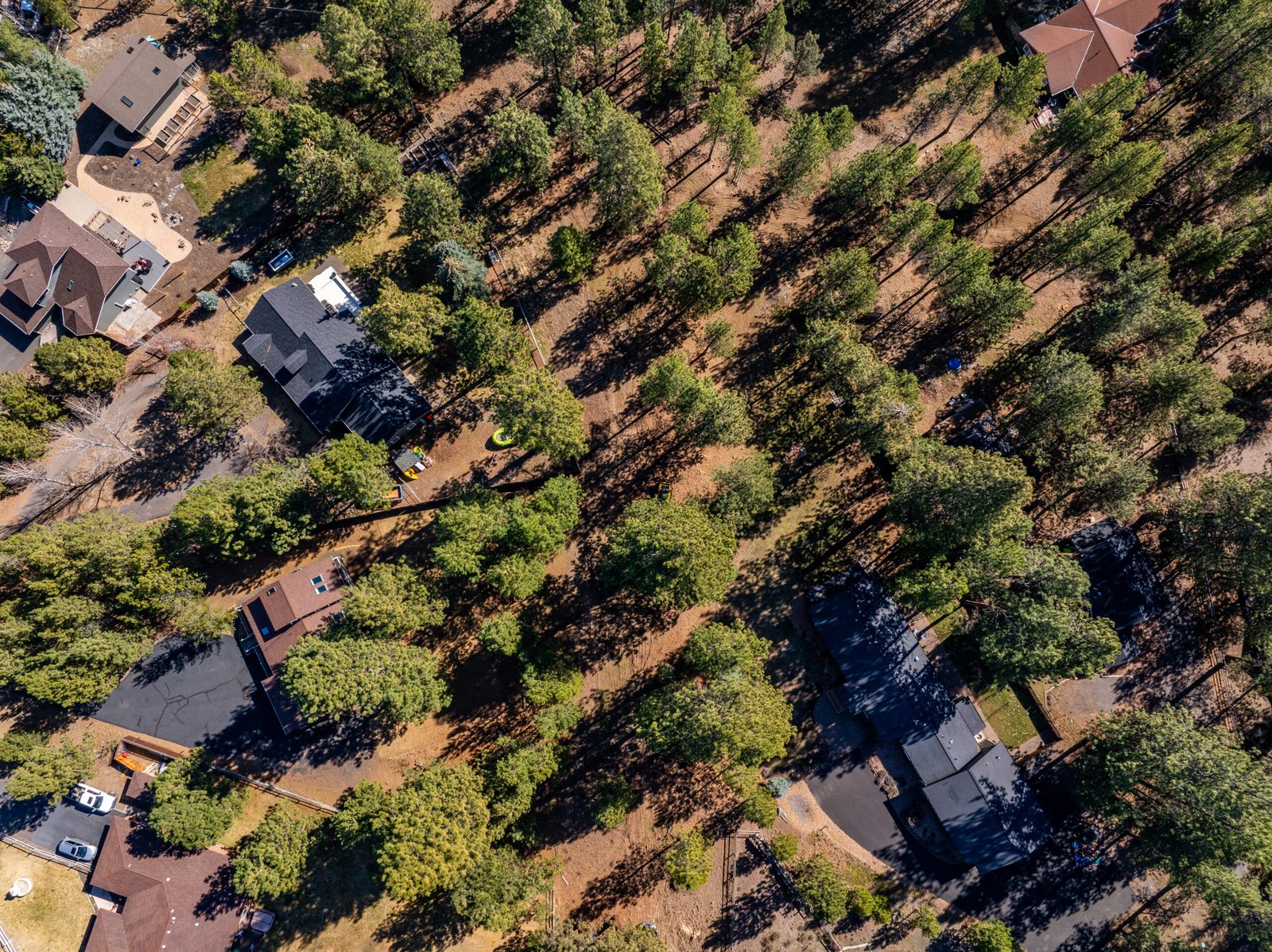 Aerial view of homes in Sisters, Oregon surrounded by thinned ponderosa pine forest with visible defensible space and reduced ground fuels between trees
