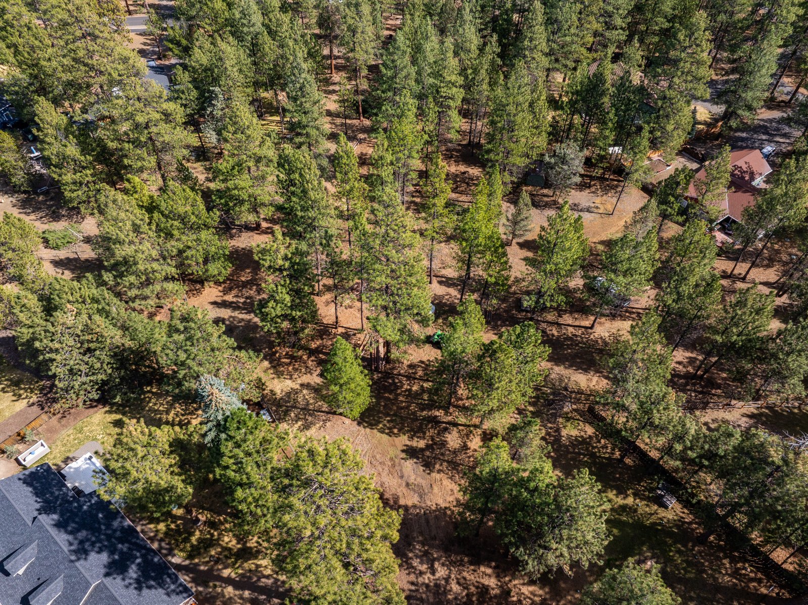 Aerial view of a Sisters, Oregon property with spaced ponderosa pine trees, open understory, and natural forest floor, showing a balanced landscape near residential homes in a high-desert environment.