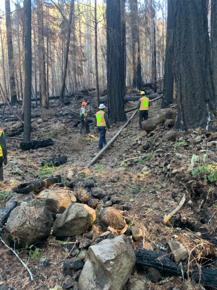 Axe Contracting: Ecological Restoration - post Fire assessment