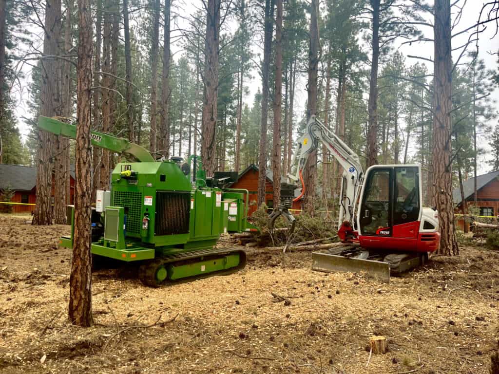Axe Contracting: Forestry Services