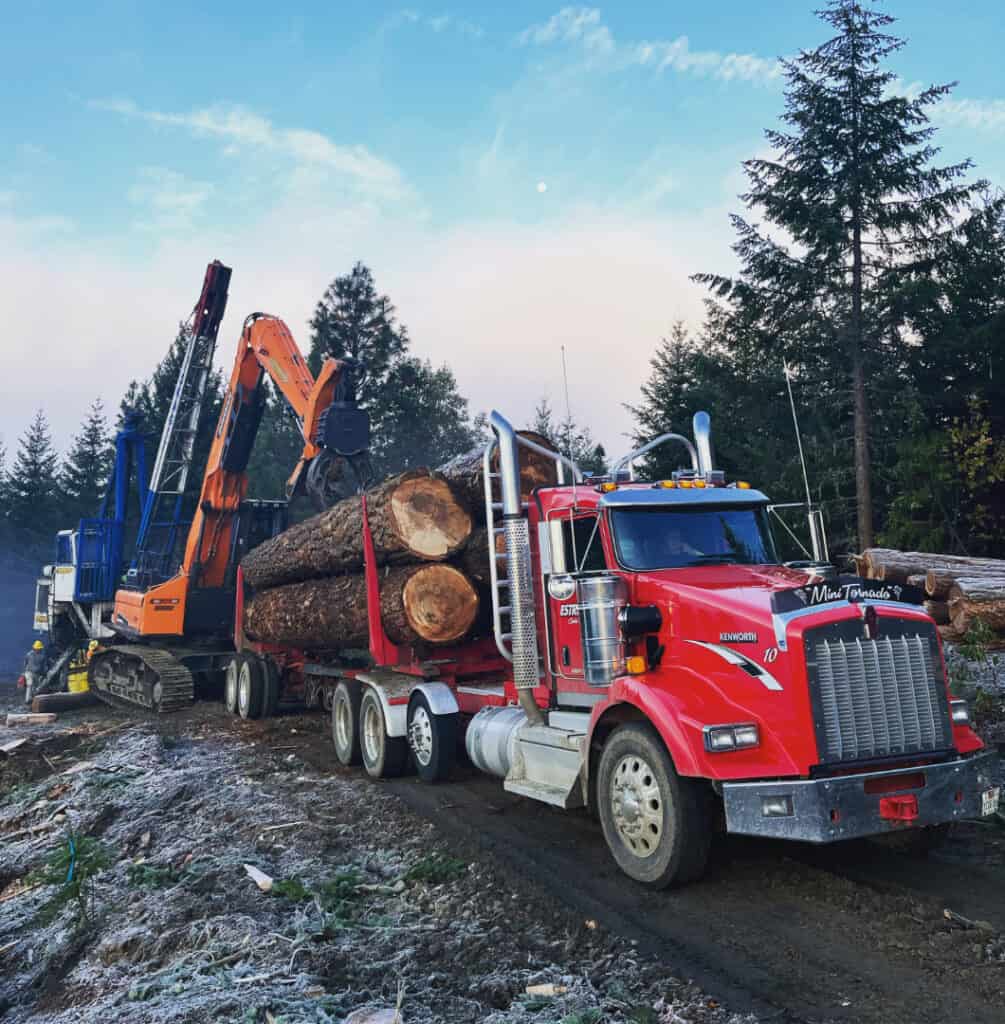 Axe Contracting: Logging truck being loaded with freshly cut logs.