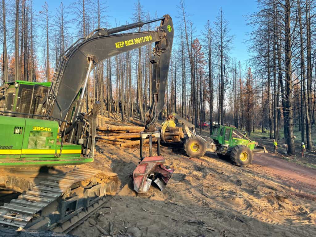 Axe Contracting: Post fire salvage logging.