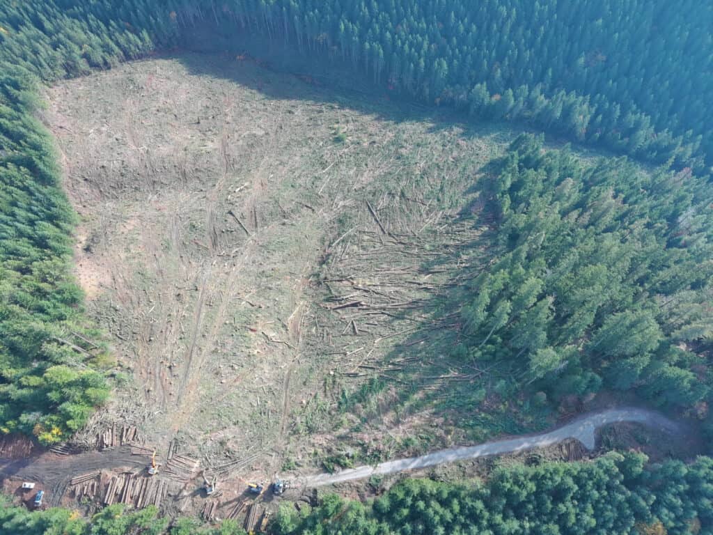 Axe Contracting: Drone photo of the timber harvesting phase of a clearing project.